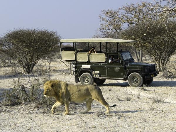 Namibia luxury camping safari