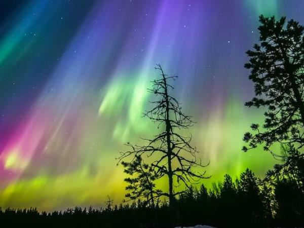 Lapland activity holiday
