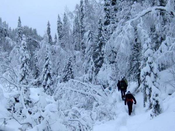 Lapland activity holiday