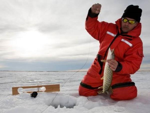 Lapland activity holiday
