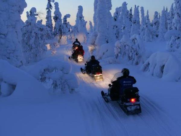 Lapland activity holiday