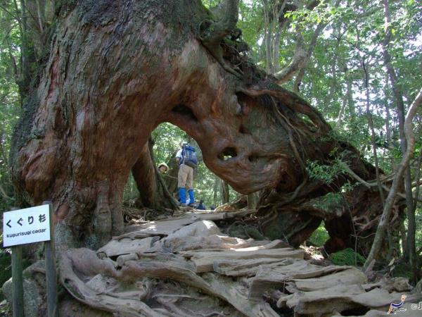 Ryukyu Islands tour, off the beaten track in Japan