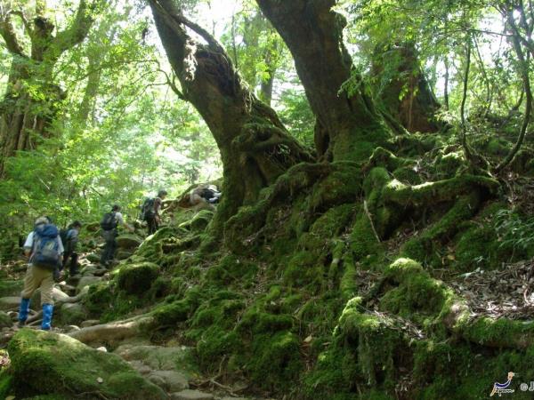 Ryukyu Islands tour, off the beaten track in Japan