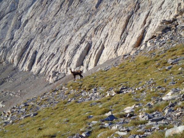 Mount Olympus walking holiday, Greece
