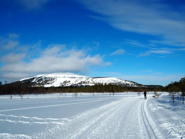 Lapland holiday by rail