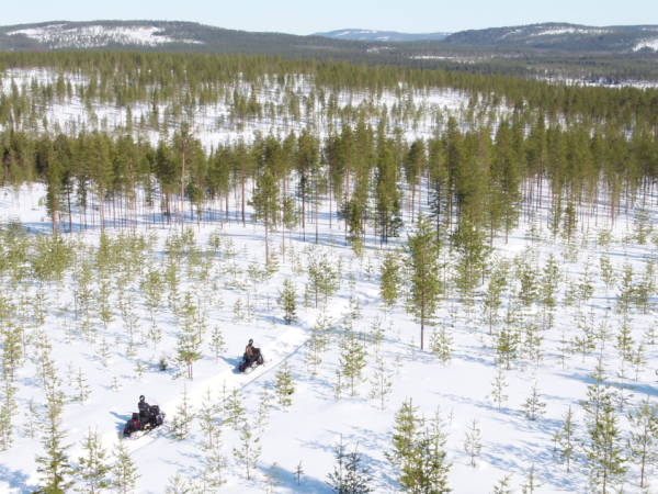 Lapland holiday by rail