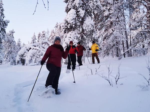 Lapland holiday by rail