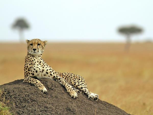 Tanzania on a budget