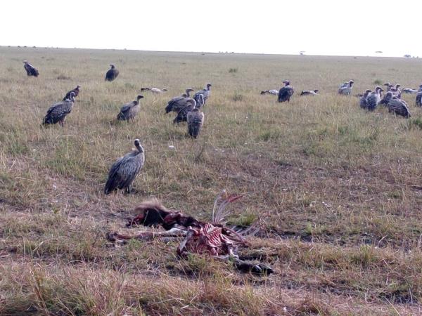Tanzania tour with Kilimanjaro day trek