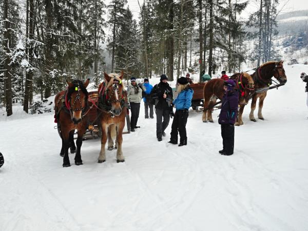 Krakow and the High Tatras in winter holiday