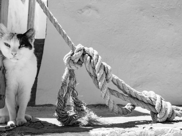 Cyclades hopping and photography holiday