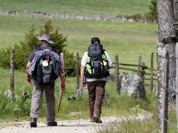 Camino de Santiago walking holiday, the French way