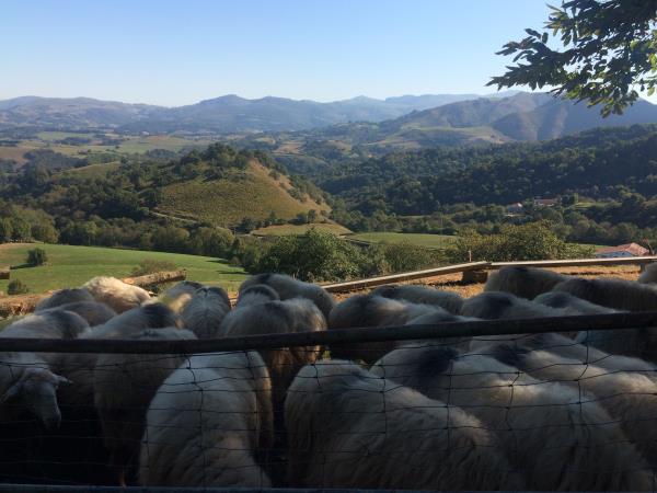 Camino de Santiago walking holiday, the French way