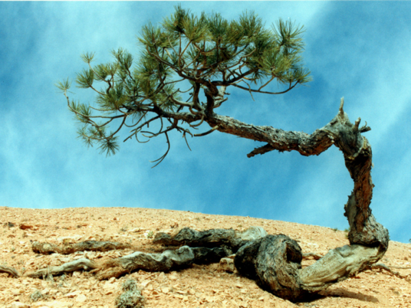 America's canyonlands walking holiday