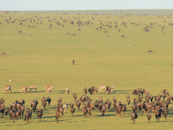 Great migration small group safari, Tanzania