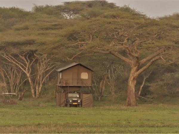Great migration small group safari, Tanzania