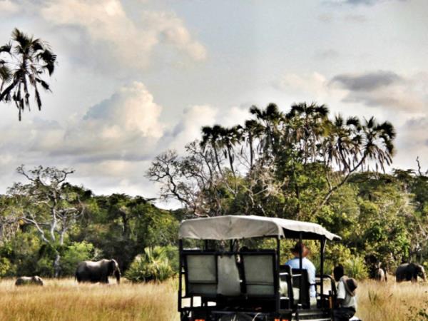 Great migration small group safari, Tanzania