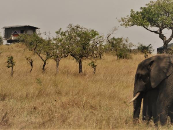 Great migration small group safari, Tanzania
