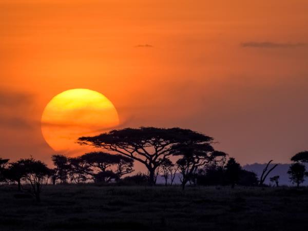 Great migration small group safari, Tanzania