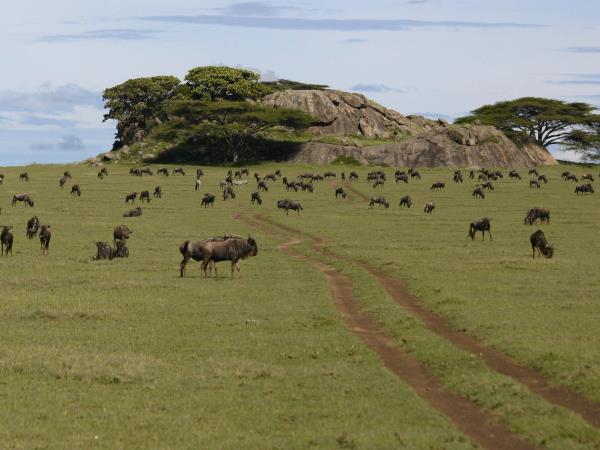 Tanzania tour with Kilimanjaro day trek