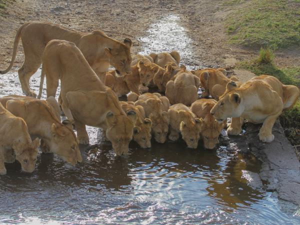 Tanzania tour with Kilimanjaro day trek
