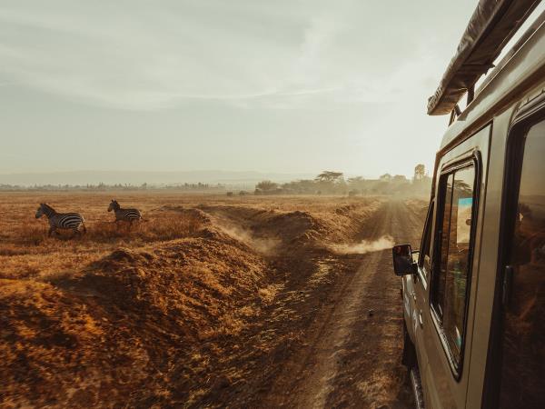 Zimbabwe national parks safari
