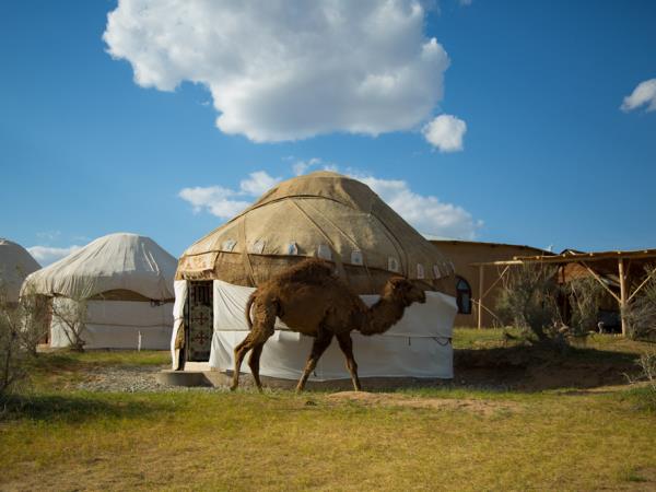 Uzbekistan history tour, Silk Road