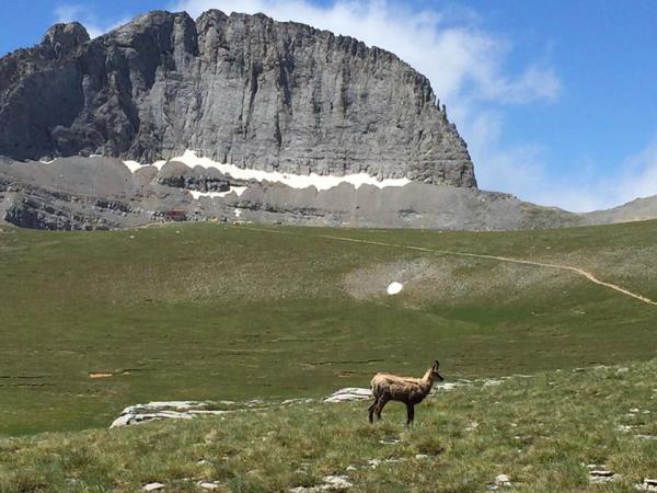 Mount Olympus and Meteora Walking holiday, Greece