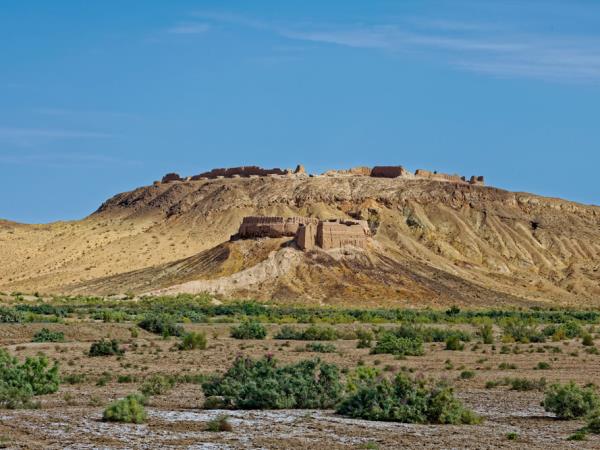 Uzbekistan highlights tour including Aral Sea