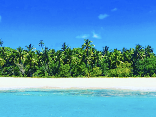 Desert Island survival in Tonga
