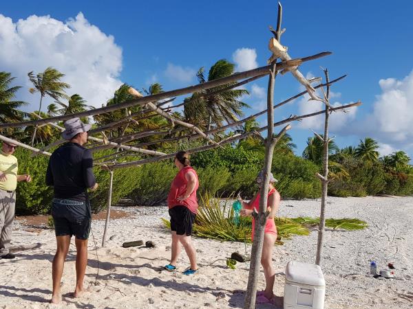 Desert Island survival in Tonga