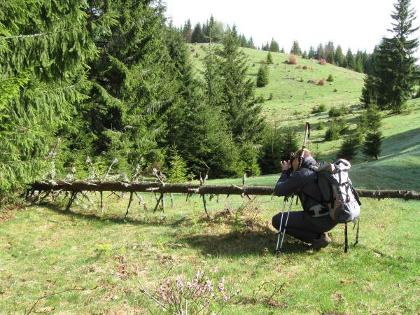 Romania walking holiday