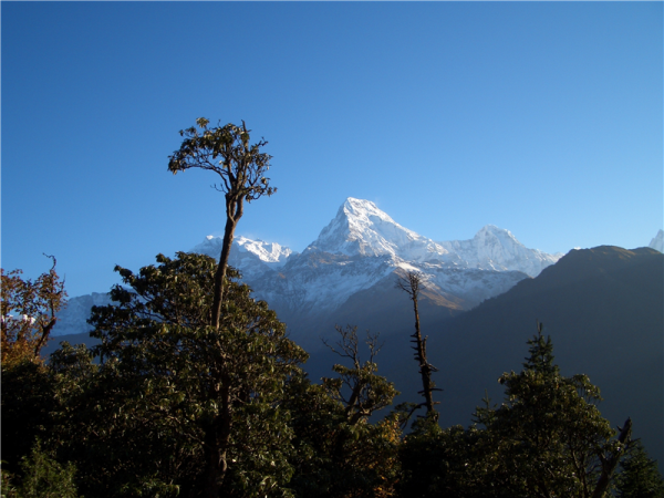 The Annapurna’s and Chitwan holiday in Nepal