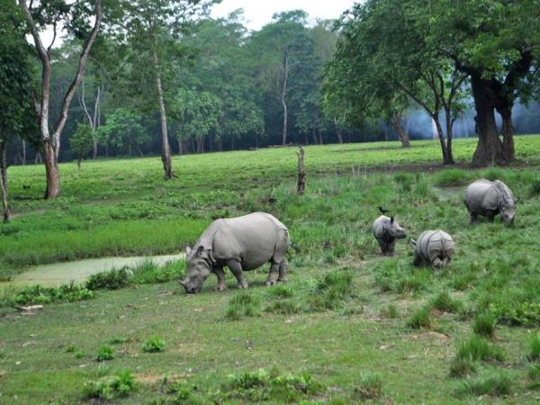Family adventure trek in Nepal