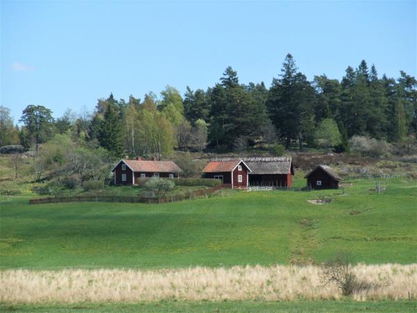 Luxury cycling holiday in Sweden