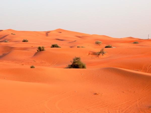 Saudi Arabia small group holiday