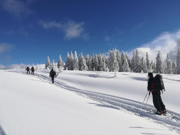 Snowshoeing short break in Romania