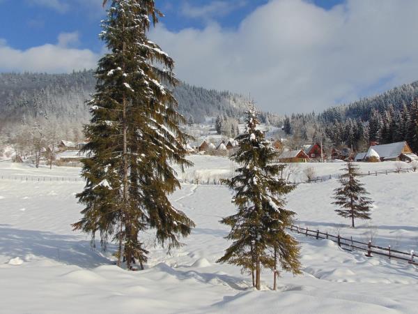 Snowshoeing short break in Romania
