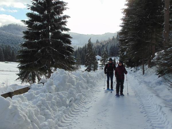 Snowshoeing short break in Romania
