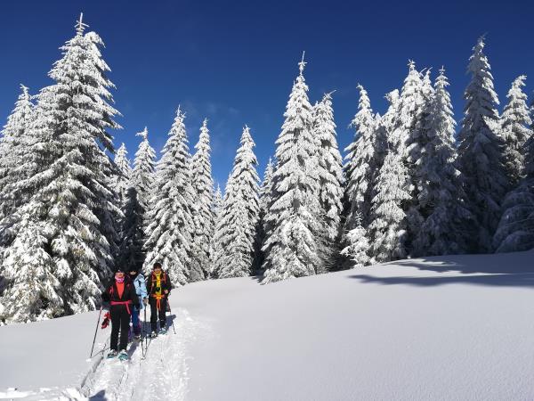Snowshoeing short break in Romania