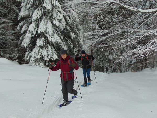 Snowshoeing short break in Romania