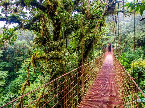 Costa Rica adventure tour
