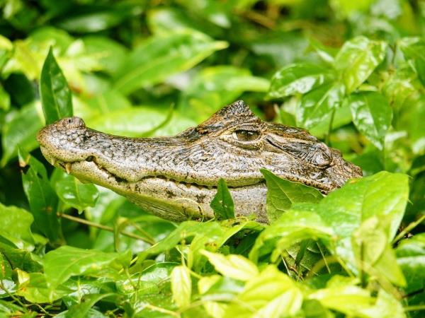 Costa Rica adventure tour