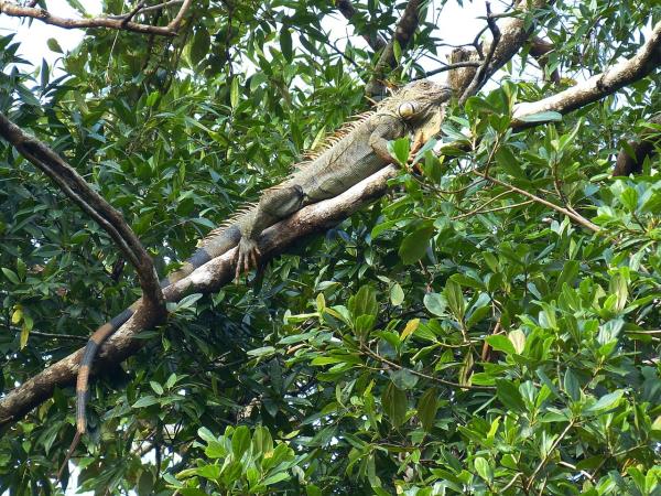 Costa Rica adventure tour