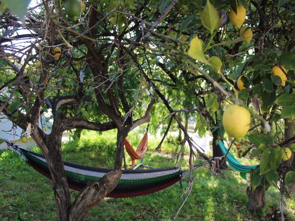 Hatha Ashtanga yoga retreat in Spain