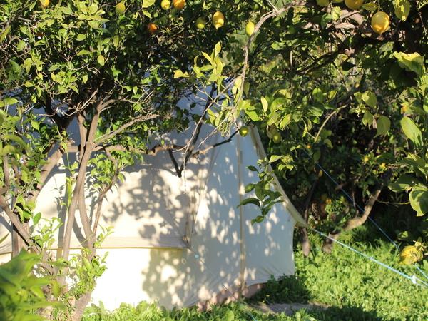 Hatha Ashtanga yoga retreat in Spain