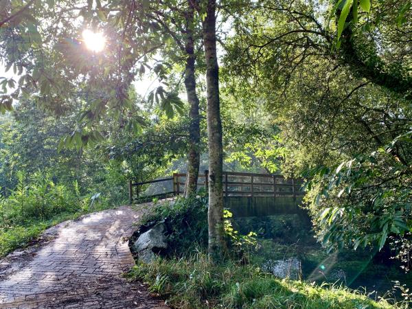 Camino de santiago walking holiday for families with teenagers