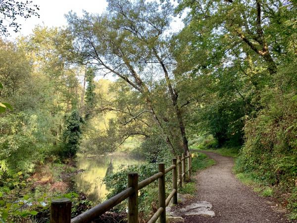 Camino de santiago walking holiday for families with teenagers