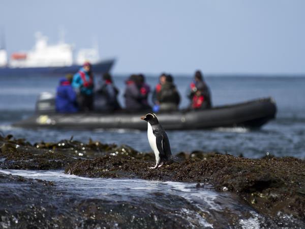 New Zealands Subantarctic Islands photography cruise