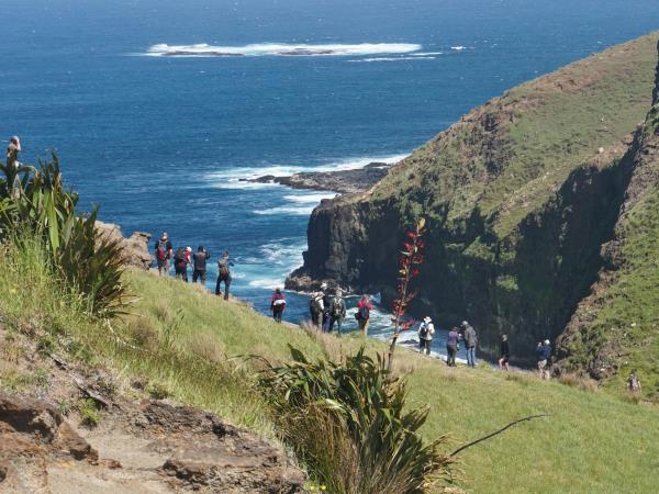 New Zealands Subantarctic Islands photography cruise